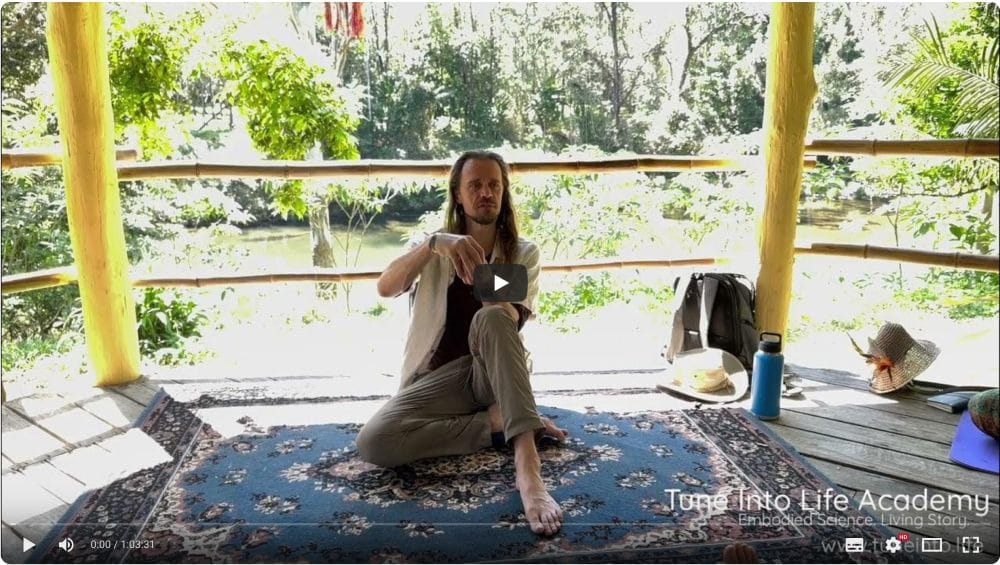 Live at Bellingen Love Fest 2025